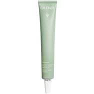 Caudalie Vinopure Salicylic Spot Solution Κρέμα Προσώπου Τοπικής Εφαρμογής Κατά της Ακμής & της Ερυθρότητας 15ml